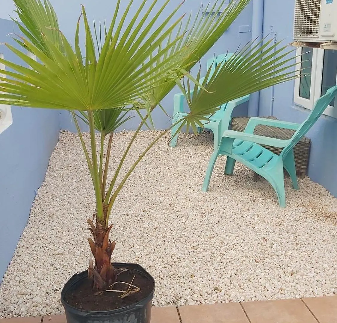 וילמסטאד Sunset Heights 2 Bedroom Appartment 0*,